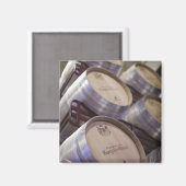 Aimant Bodega Marques de Riscal winery, wine cellar (Recto/Verso)