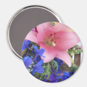 Aimant Bodichon (Recto/Verso)