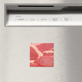 Aimant Boeuf (In Situ (Lave-vaisselle))