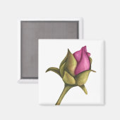 Aimant Boeuf de pivoine (Recto/Verso)