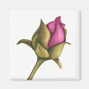 Aimant Boeuf de pivoine