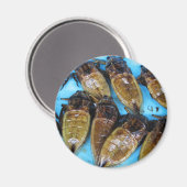 Aimant Bogue d'eau géante frite (Maeng Daa) ... Alimentat (Recto/Verso)