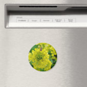 Aimant Bogue sur la fleur (In Situ (Lave-vaisselle))