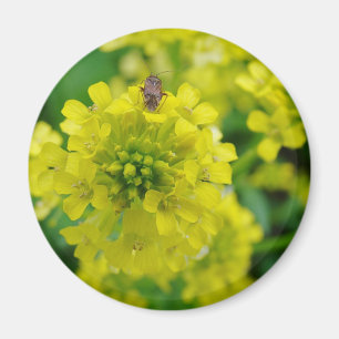 Aimant Bogue sur la fleur
