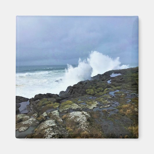 Aimant Boiler Bay State Wayside, Depoe Bay, Oregon (Devant)