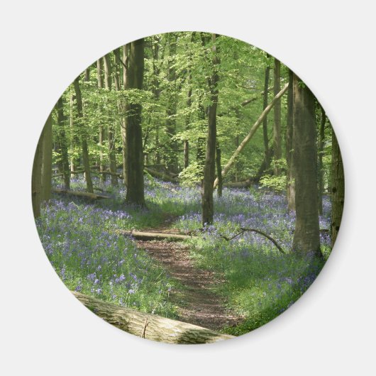 Aimant Bois de Bluebell (Devant)