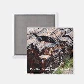 Aimant Bois pétrifié (Recto/Verso)