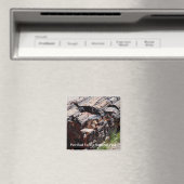 Aimant Bois pétrifié (In Situ (Lave-vaisselle))