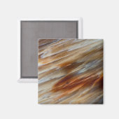 Aimant Bois pétrifié déchiqueté (Recto/Verso)