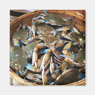 Aimant Boisseau de crabe bleu