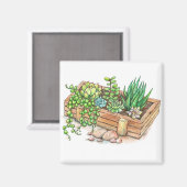 Aimant Boîte à planteur succulent (Recto/Verso)