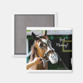 Aimant Bonjour ! Cheval (Recto/Verso)