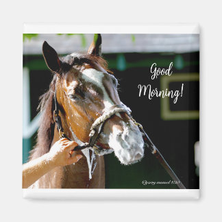 Aimant Bonjour ! Cheval