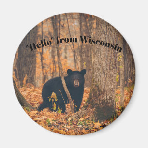 Aimant Bonjour du Wisconsin avec l'ours noir