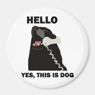 Aimant BONJOUR OUI C'EST téléphone de téléphone de CH