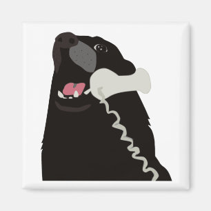 Aimant BONJOUR OUI C'EST téléphone de téléphone de CH