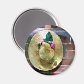 AIMANT BONNET (Recto/Verso)