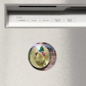 AIMANT BONNET (In Situ (Lave-vaisselle))