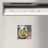 AIMANT BONNET (In Situ (Lave-vaisselle))