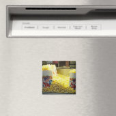 Aimant Bonté des boutons (In Situ (Lave-vaisselle))