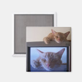 Aimant Boo da Sleepy (Recto/Verso)