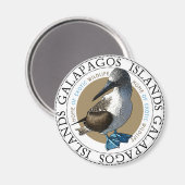 Aimant Booby Pied Bleu (Recto/Verso)