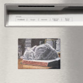 Aimant Bookstore Cat (In Situ (Lave-vaisselle))