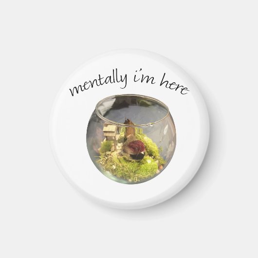 Aimant borb planetarium (Devant)