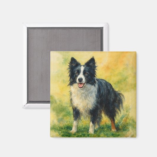Aimant Border Collie (Recto/Verso)