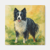 Aimant Border Collie (Devant)