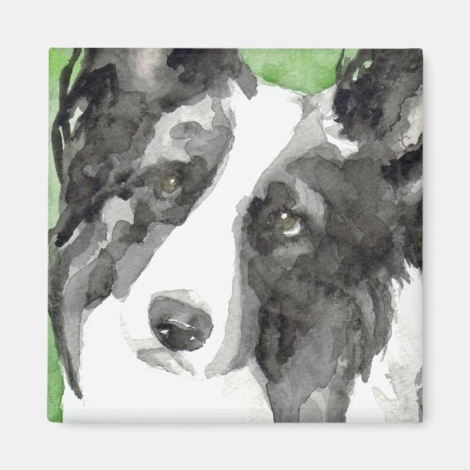Aimant Border Collie Aquarelle (Devant)