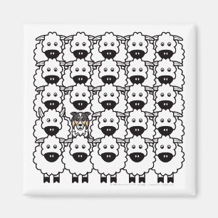 Aimant Border collie chez les moutons