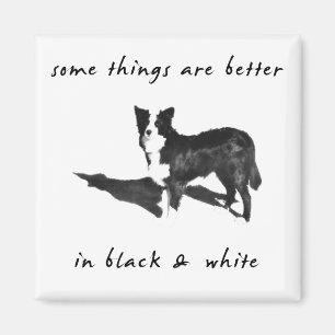 Aimant Border collie mieux
