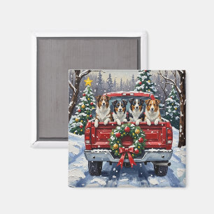 Aimant Border Collie Noël Camion Rouge Fêtes
