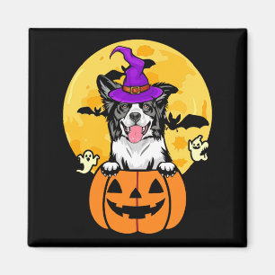 Aimant Border Collie noir et blanc Sorcière Chien Hallowe