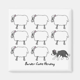 Aimant Border collie vivant en troupe l'aimant de moutons