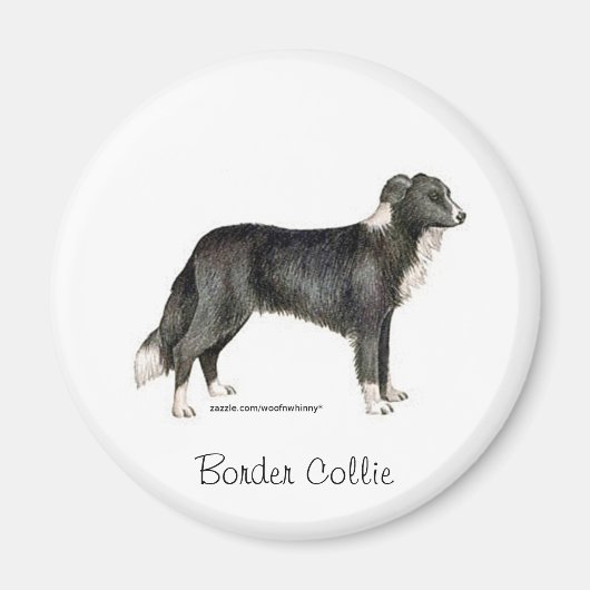 Aimant Bordure Collie (Devant)