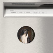 Aimant Bordure Collie (In Situ (Lave-vaisselle))