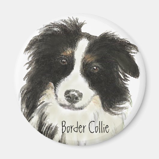 Aimant Bordure Collie Chien o (Devant)