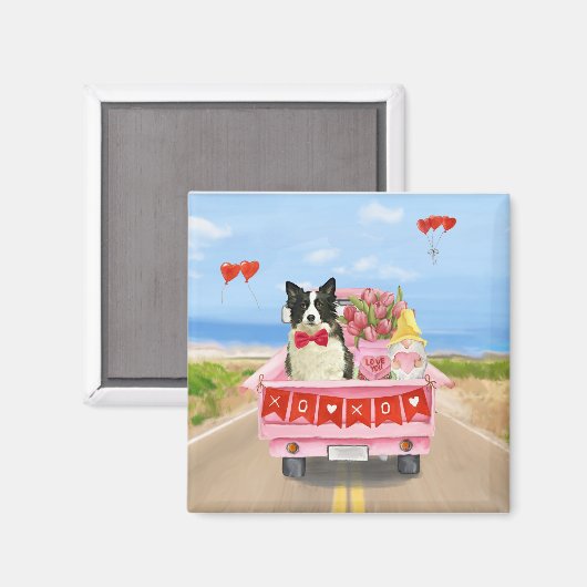 Aimant Bordure Collie Chien Saint Valentin Coeurs de cami (Recto/Verso)
