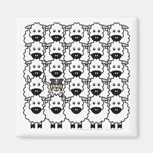 Aimant Bordure Collie dans le mouton (Devant)