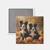 Aimant Bordure Collie Puppy Automne Citrouille de plaisir (Recto/Verso)