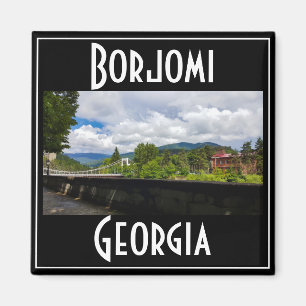 Aimant Borjomi Hot Springs Resort Georgia Caucuses