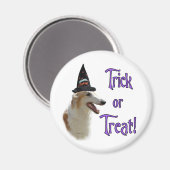 Aimant Borzoi Trick (Recto/Verso)