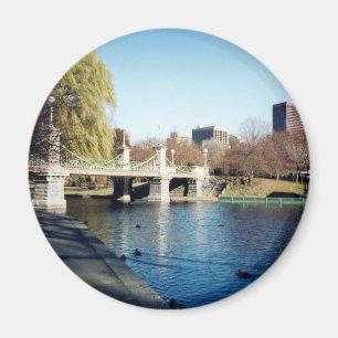 Aimant boston commun