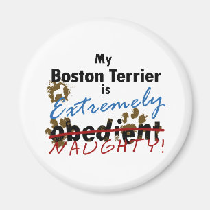 Aimant Boston extrêmement vilain Terrier
