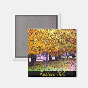 Aimant Boston, Massachusetts Fall Foliing