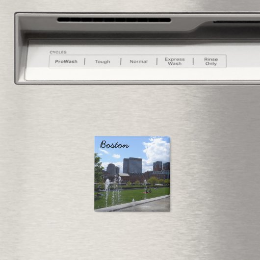 Aimant Boston Park (In Situ (Lave-vaisselle))