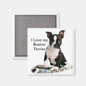 AIMANT BOSTON TERRIER (Recto/Verso)