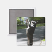 Aimant Boston Terrier 2 (Recto/Verso)